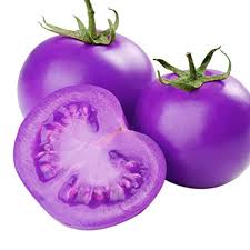 Lavender Tomato flower seeds for planting - Heirloom & Non-GMO Garden Seeds