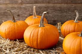 Sunseanse F1 Pumpkin Seeds for Planting – Heirloom Organic Non‑GMO High Germination Organic Garden Seeds