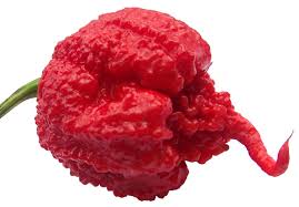 Vegetable Seeds,Garden seeds, Seeds For Planting,Plant Seeds