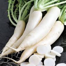 White Radish Seeds for Planting – Heirloom, Non-GMO, High Germination Organic Garden Seeds