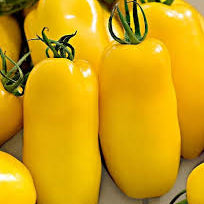 Vegetable Seeds,Garden seeds, Seeds For Planting,Plant Seeds