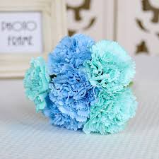 Sky Blue Carnation Flower Seeds for Planting – Heirloom, Non-GMO, Vibrant Colors Organic Garden Seeds