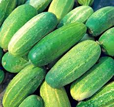 Gherkin Vegetable Seeds for Planting – Heirloom Non-GMO, High Germination Organic Garden Seeds