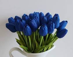 Deep Blue Tulip Flower Seeds for Planting – Heirloom Non-GMO Organic Garden Seeds – Shade Tolerant, High Germination