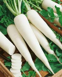 Daikon Radish Seeds for Planting – Heirloom, Non-GMO, High Germination Organic Garden Seeds with Mild Flavor