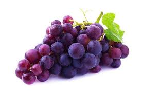 Purple Grapes Fruit Seeds – Super Sweet, Unique Flavor, Heirloom & Non-GMO Seeds