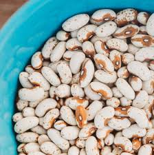 White Cattle Bean Seeds for Planting – Heirloom & Non-GMO Organic Garden Seeds, High Germination, Protein-Rich, Classic Recipes