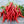 Anhui Sweet Cow-Horn Pepper Seeds for Planting – Heirloom, Non-GMO, High Germination Organic Garden Seeds