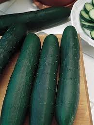 Dark Green Cucumber flower seeds for planting - Heirloom & Non-GMO Garden Seeds