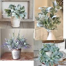 Green Lambs Ear Flower Seeds for Planting – Shade Tolerant, Heirloom, Non-GMO, High Germination Organic Garden Seeds