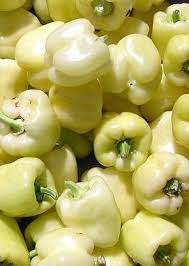 White Bell Pepper Seeds for Planting – heirloom & Non-GMO seeds, sweet variety with rare color