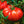 Big Huge Tomato Seeds for Planting Red - heirloom & non-GMO seeds, juicy and heavy harvests, 100 pcs