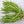 Yard Bean Seeds for Planting – Heirloom, Non-GMO, High Germination Organic Garden Seeds for Long, Crisp Summer Pods