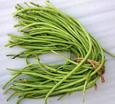 Yard Bean Seeds for Planting – Heirloom, Non-GMO, High Germination Organic Garden Seeds for Long, Crisp Summer Pods