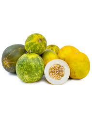 Dosakai Melon Cucumber Seeds for Planting – Heirloom, Non-GMO, High Germination Organic Garden Seeds with Tangy Flavor