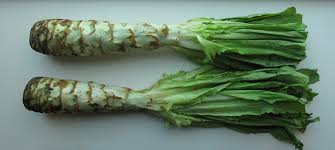 Asparagus Lettuce Seeds for Planting – Heirloom, Non-GMO, Organic Garden Seeds, High Germination, Rare Crunchy Salad Greens