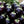 Black Aubergine flower seeds for planting - Heirloom & Non-GMO Garden Seeds