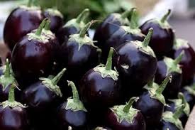 Black Aubergine flower seeds for planting - Heirloom & Non-GMO Garden Seeds