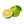 Fruit Seeds,Garden seeds, Seeds For Planting,Plant Seeds