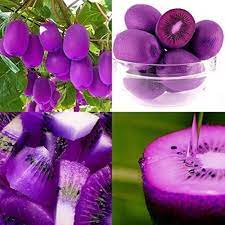 Fruit Seeds,Garden seeds, Seeds For Planting,Plant Seeds