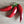 Basque Vegetable Seeds for Planting – Heirloom, Non-GMO, High Germination Organic Garden Seeds