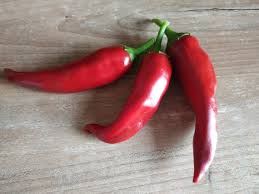 Chili Pepper Capsicum Seeds for Planting – Heirloom, Non-GMO, High Germination Organic Garden Seeds for Spicy Gardens