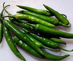 Green Chili Willy Pepper Seeds for Planting – Heirloom Non-GMO Rare Exotic Variety – High Germination