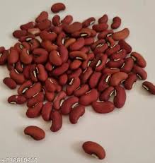 Dark Red Kidney Bean Seeds for Planting – Heirloom, Non-GMO, High Germination Organic Garden Seeds
