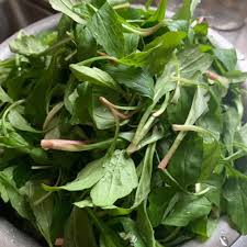 Alfresco Vegetable Seeds for Planting – Heirloom & Non-GMO, High Germination Organic Seeds for Fresh Seasonal Garden Produce