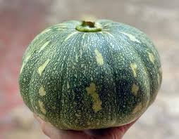 Calabaza flower seeds for planting - Heirloom & Non-GMO Garden Seeds