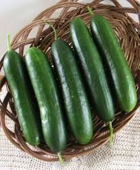 Army Green Cucumber flower seeds for planting - Heirloom & Non-GMO Garden Seeds