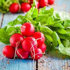 Radish Vegetable Seeds for Planting – Heirloom Non-GMO Rare Blue Variety – High Germination Organic Garden Seeds