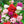 Balsam Camellia Flower Seeds for Planting – Wildflower Mix, Heirloom, Non-GMO Organic Garden Seeds for Home Garden