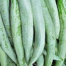Suakwa Snake Gourd flower seeds for planting - Heirloom & Non-GMO Garden Seeds