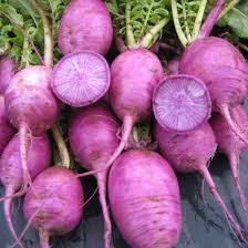 Radish Seeds for Planting – Purple Heirloom, Non-GMO, High Germination Organic Garden Seeds for Nutrient-Rich Roots
