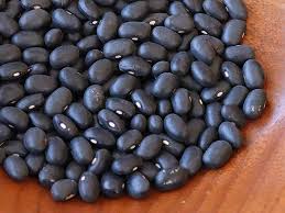 Black Turtle Pole Bean vegetable seeds for planting - Heirloom & Non-GMO Garden Seeds