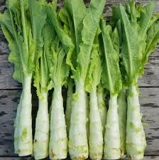 Asparagus Lettuce Seeds for Planting – Heirloom, Non-GMO, Organic Garden Seeds, High Germination, Rare Crunchy Salad Greens