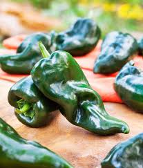 Green Ancho Poblano Seeds for Planting – Heirloom, Non-GMO, High Germination Organic Garden Seeds