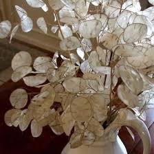 White Lunaria Biennis Flower Seeds for Planting – Pollinator Friendly, Heirloom, Non-GMO, High Germination