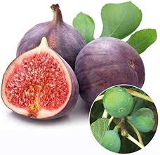Fruit Seeds,Garden seeds, Seeds For Planting,Plant Seeds