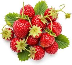 Fragaria vesca Fruit Seeds – Heirloom Wild Alpine Strawberry Seeds for Garden Planting
