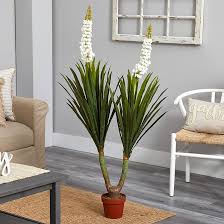 Yucca Thompsoniana Flower Seeds for Planting – Bright Blooms, Heirloom & Non-GMO Seeds