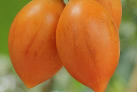 Fruit Seeds,Garden seeds, Seeds For Planting,Plant Seeds