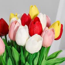 Tulip Flower Seeds for Planting | Heirloom Non-GMO Organic Garden Seeds, Compact Growth, High Germination