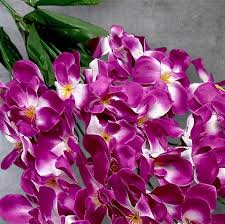 Purple Orchis Flower Seeds for Planting | Heirloom Non-GMO High Germination Organic Garden Seeds