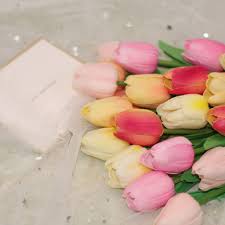 Yellow & Pink F Tulip Flower Seeds for Planting – Heirloom, Non-GMO, High Germination Organic Garden Seeds