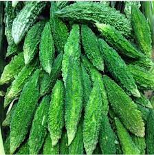 Bitter Gourd Seeds for Planting – High Yield, Fast Germination, Non-GMO Vegetable Seeds