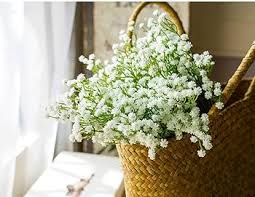 Gypsophila Flower Seeds for Planting – Heirloom, Non-GMO, Shade-Tolerant Organic Garden Seeds