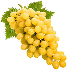 Fruit Seeds,Garden seeds, Seeds For Planting,Plant Seeds