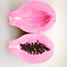 Pink Papaya fruit seeds for planting - Heirloom & Non-GMO Garden seeds